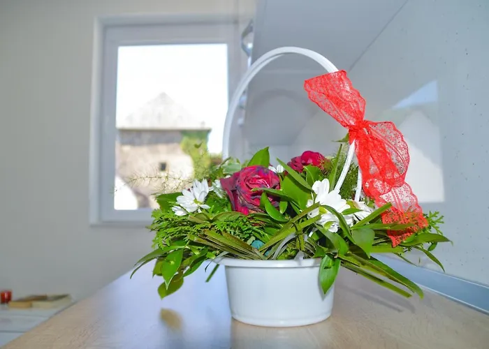 “centar “ * ヤイツェ