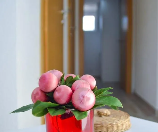 Apartman “centar “