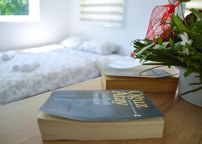 “centar “ * Jajca